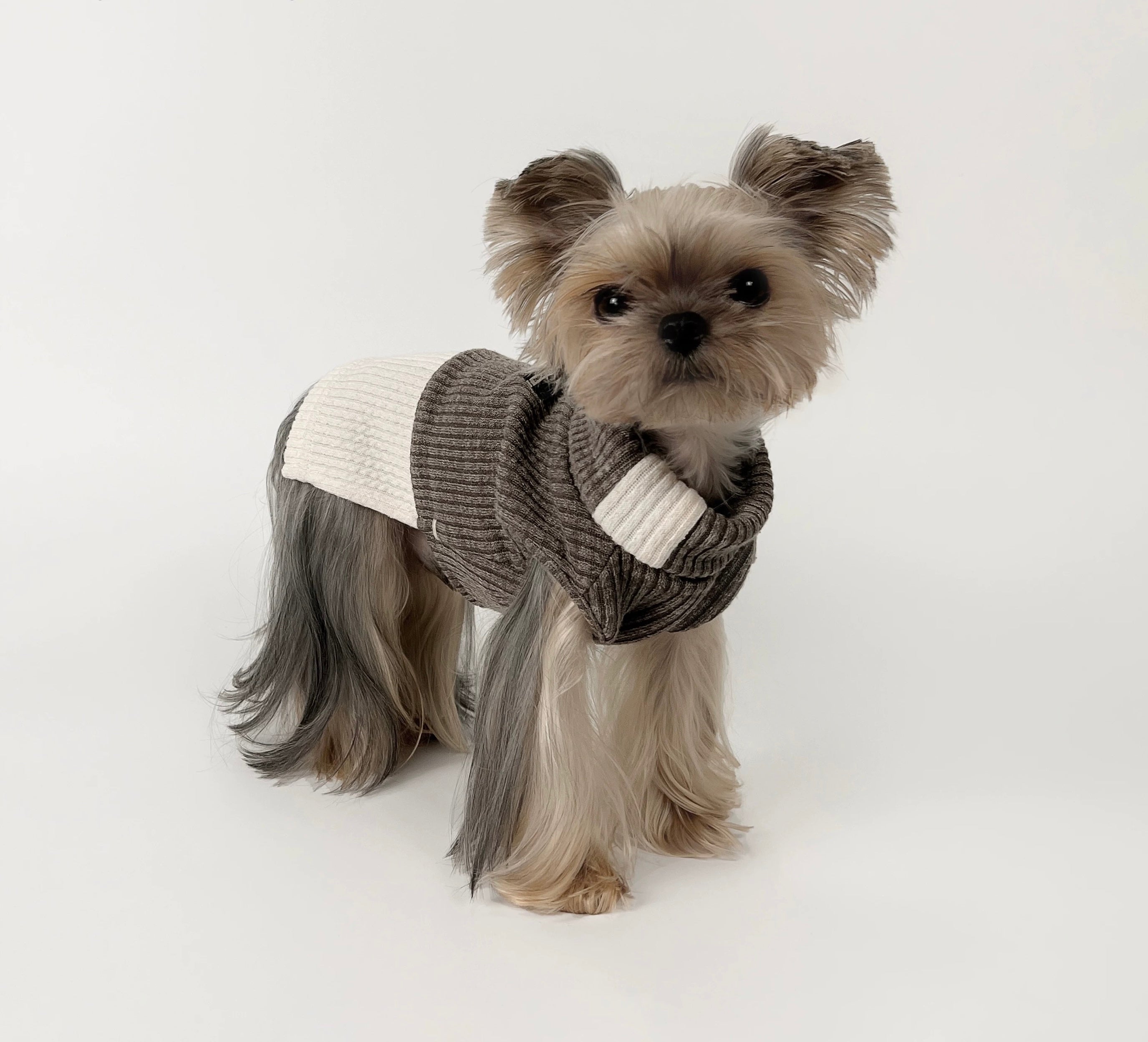 Kyawkyaw Brown & Cream Colorblock Knit Dog Sweater