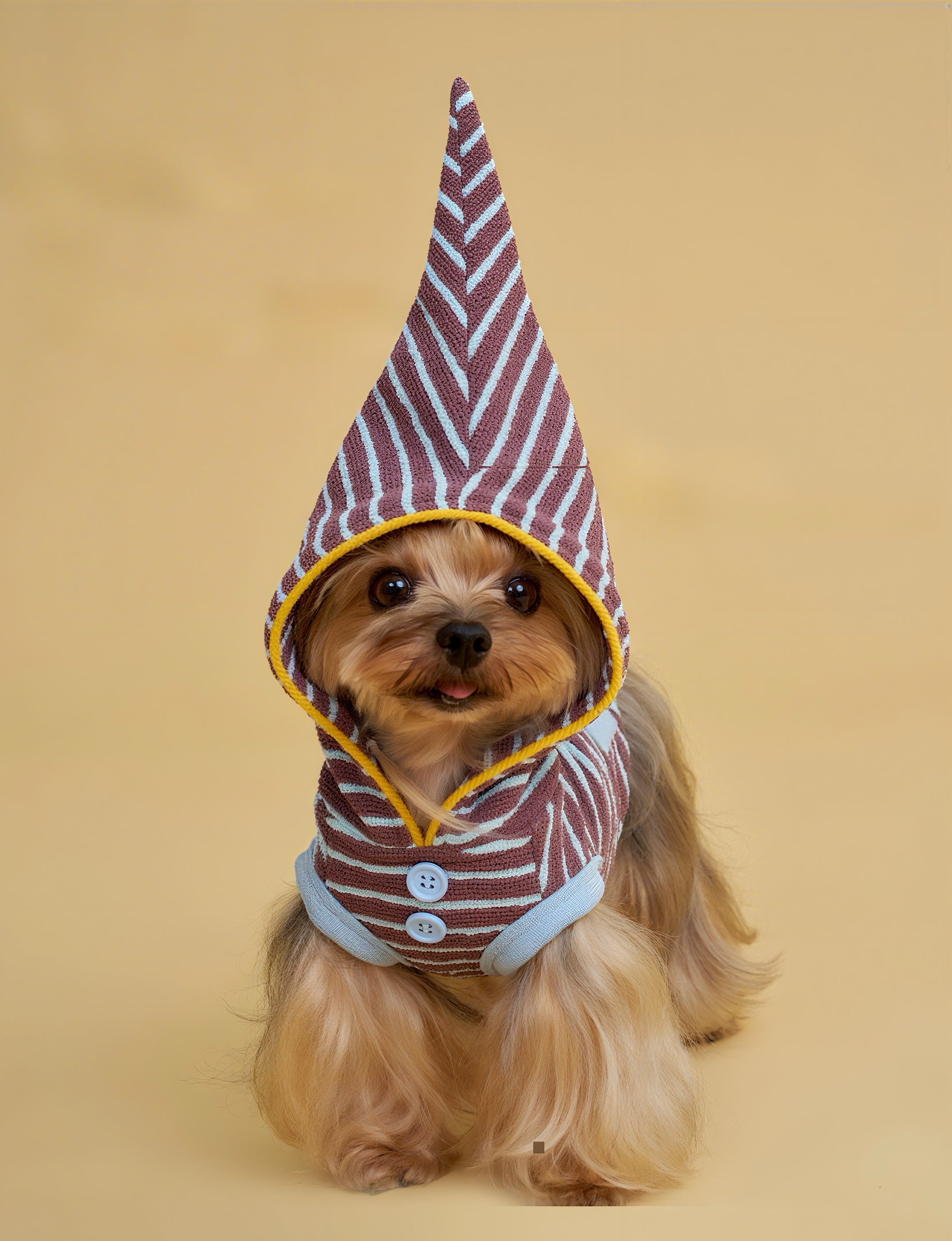 Cozy Elf Hood Dog Sweater