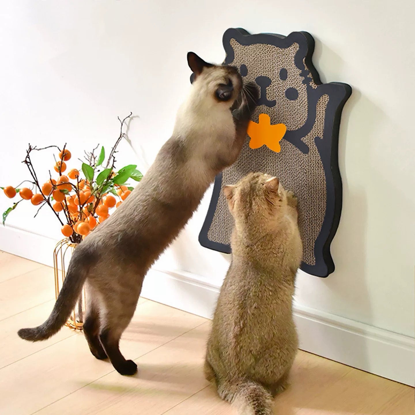 Capybara Cat Scracher