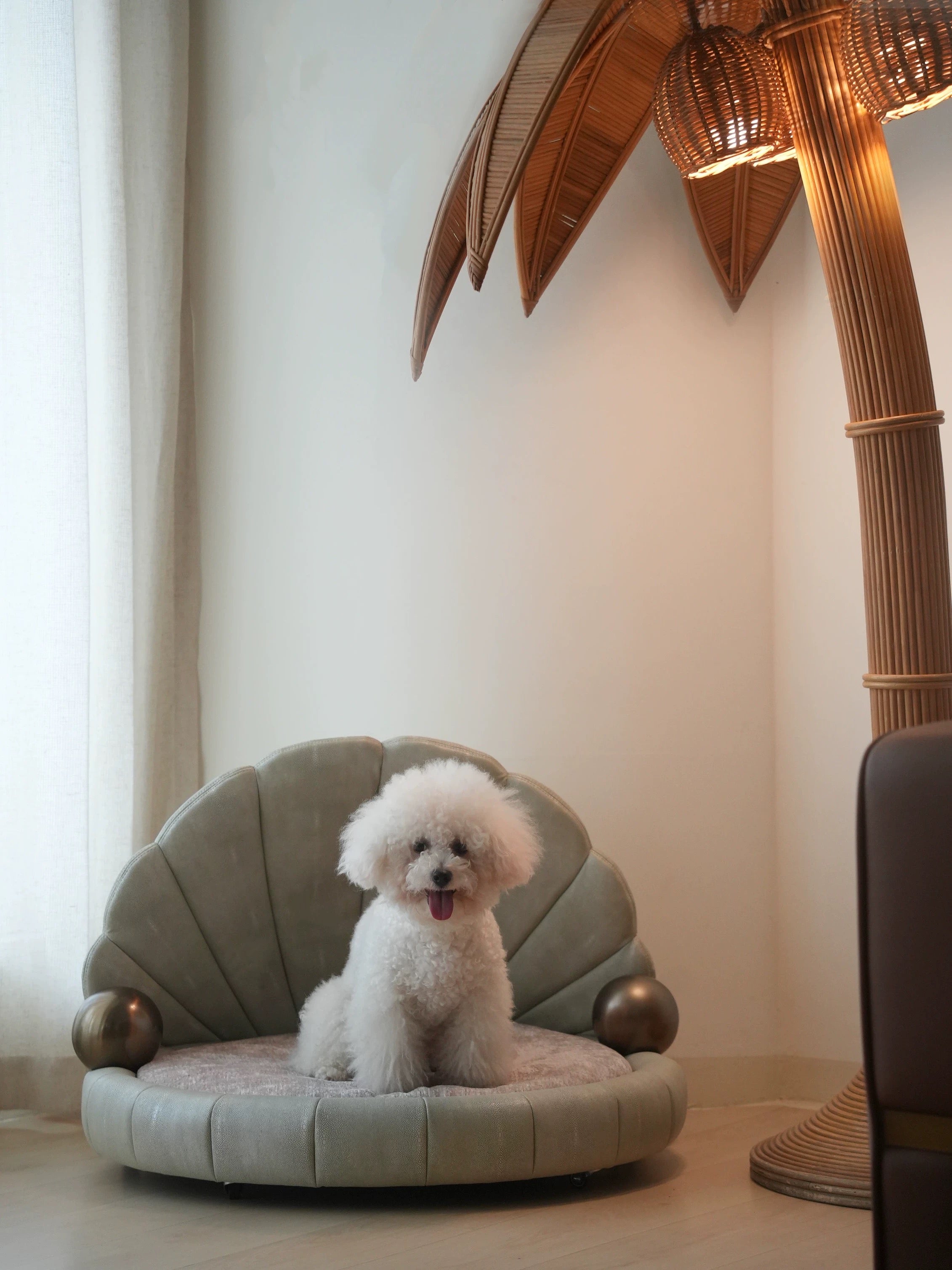 Luna Shell Luxury Pet Bed