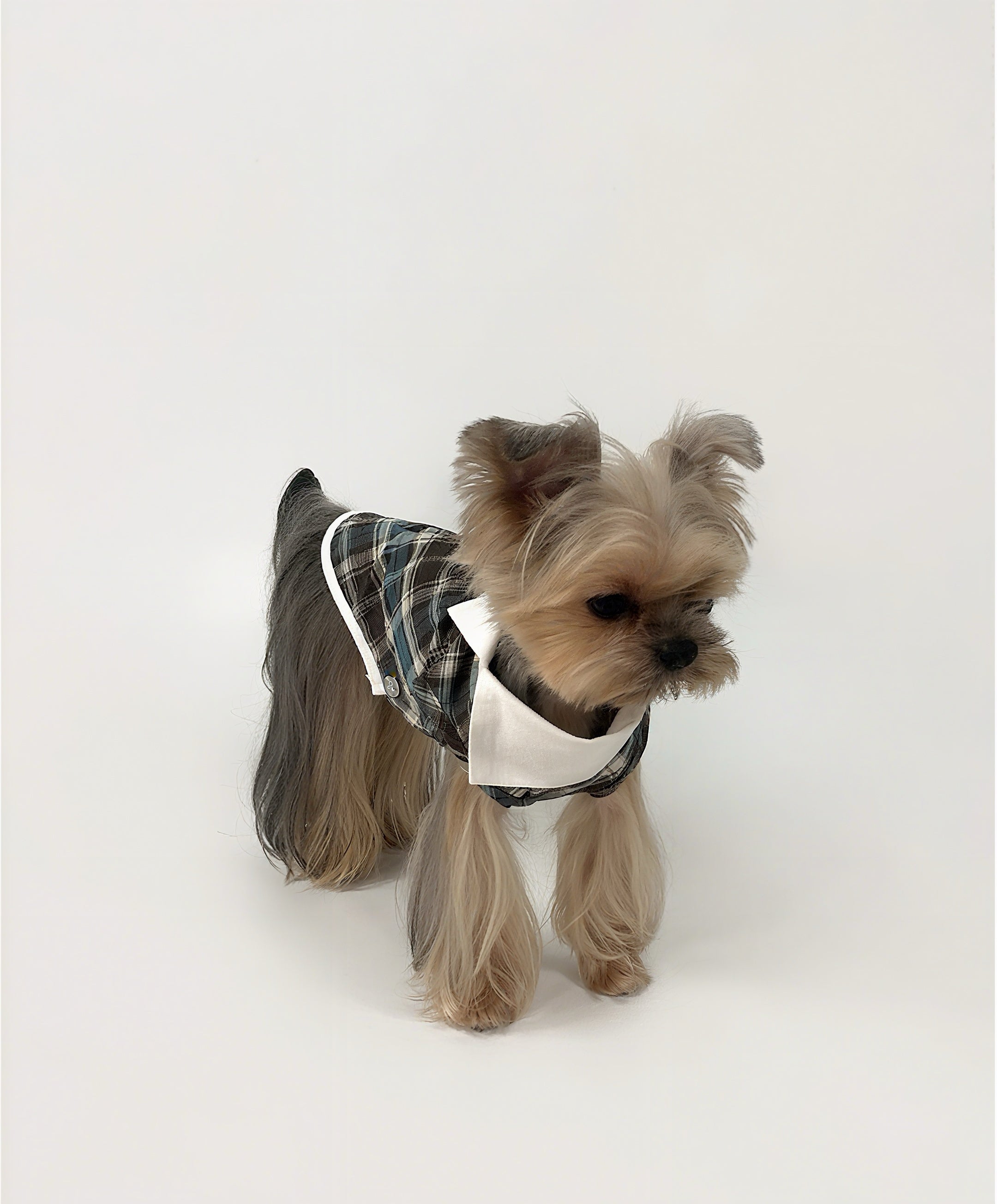 Kyawkyaw Plaid Dog Shirt with Fold-Over Collar