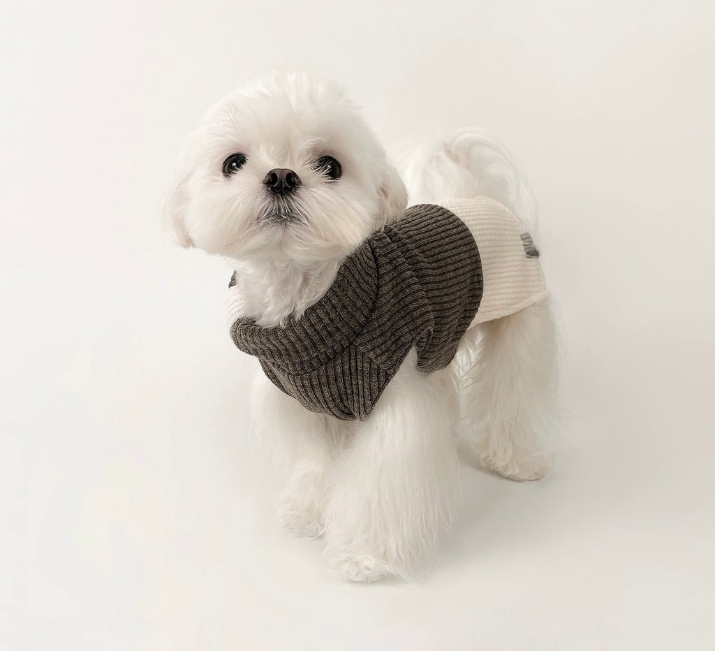 Kyawkyaw Brown & Cream Colorblock Knit Dog Sweater