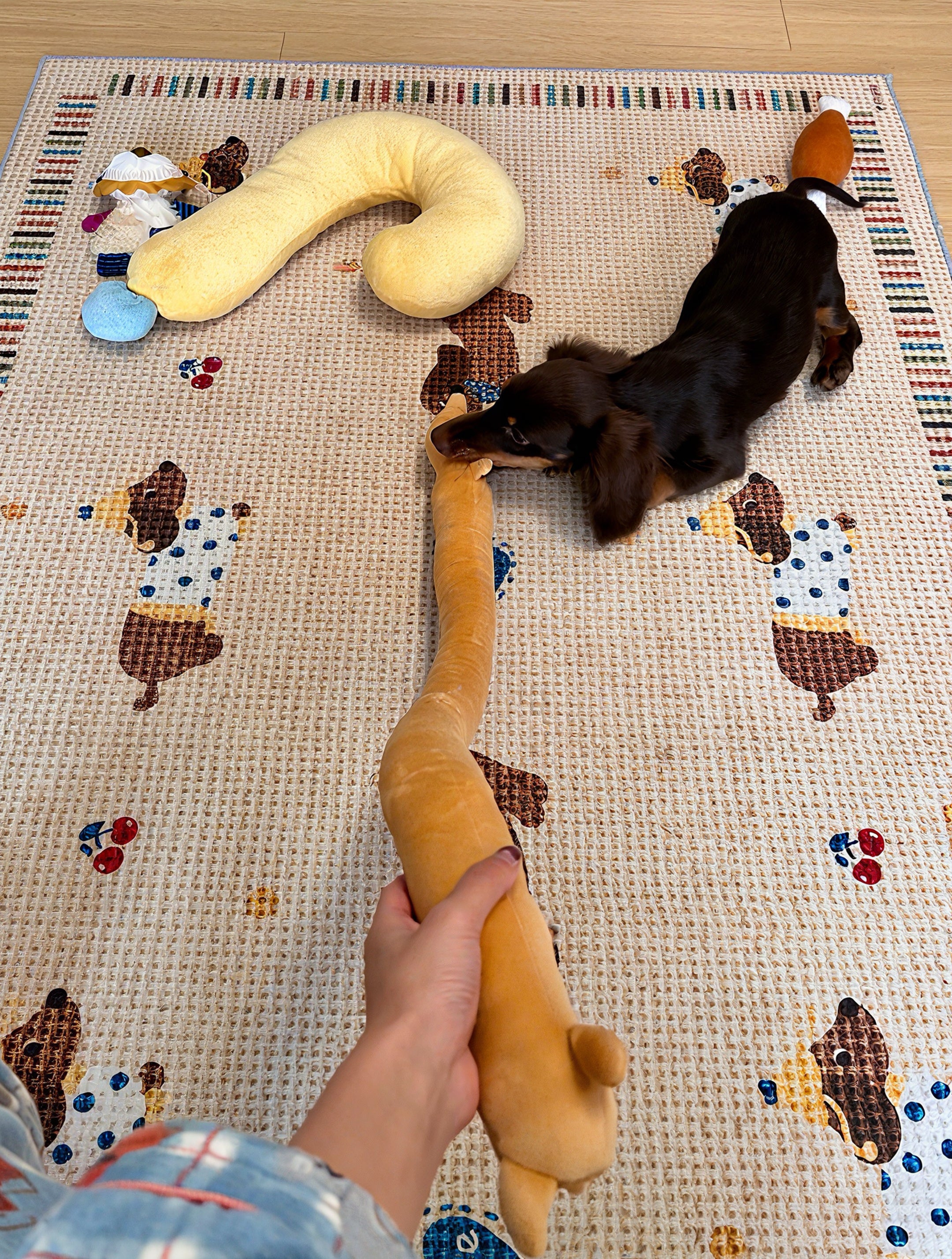 Extra-Long Sausage Dog Plush Toy for Dogs & Cats