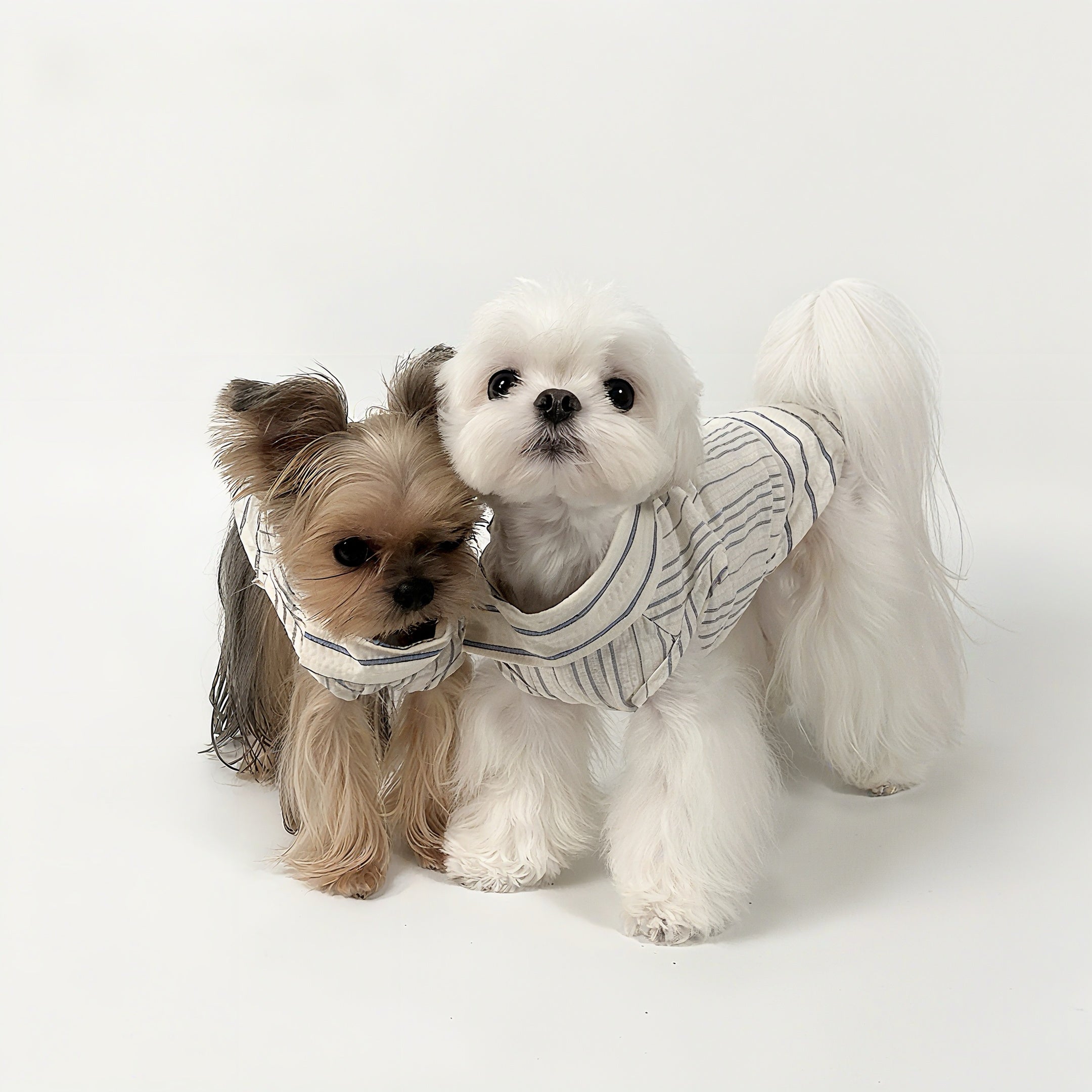 Kyawkyaw Blue Striped Dog Shirt Cotton