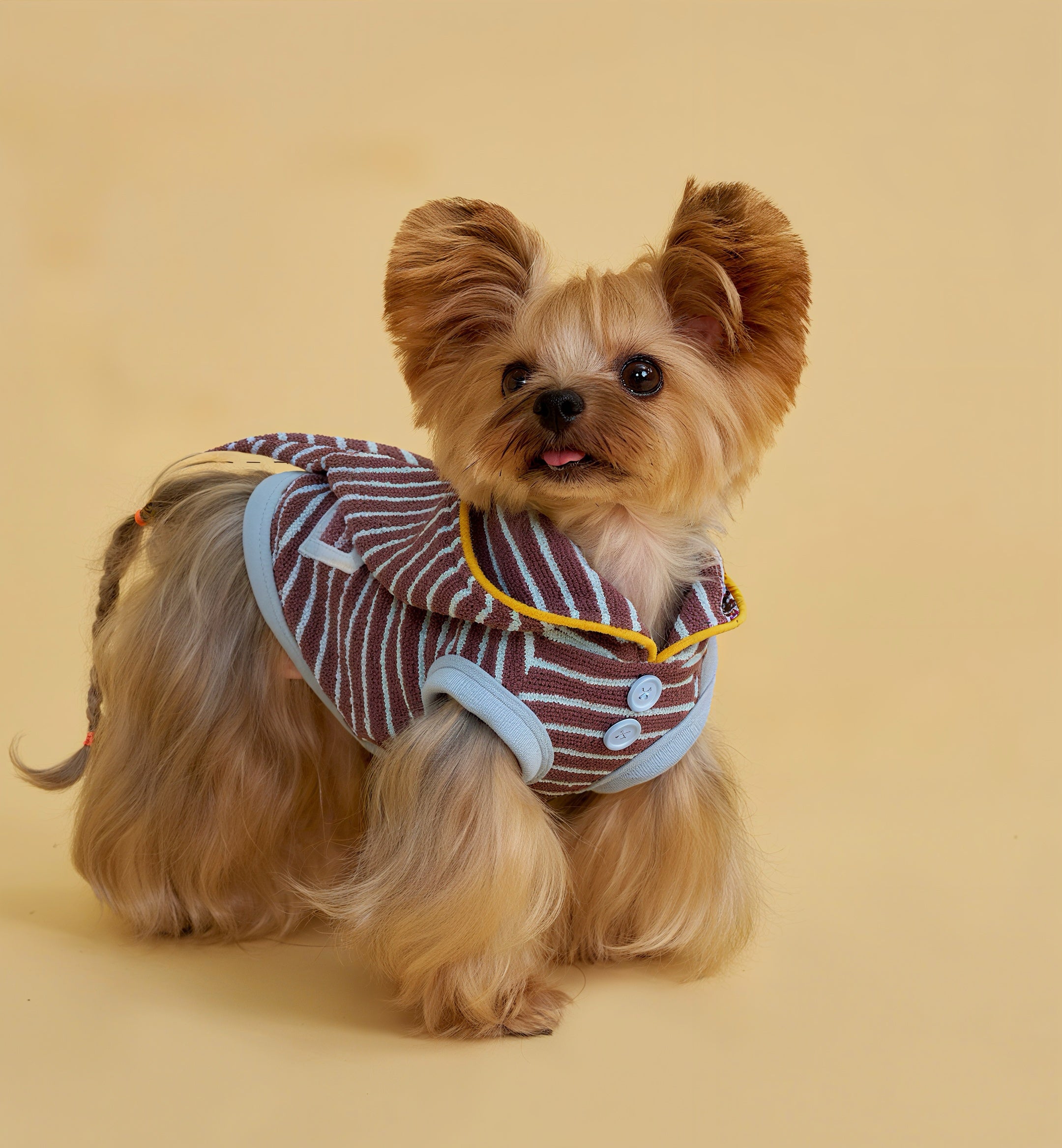 Cozy Elf Hood Dog Sweater