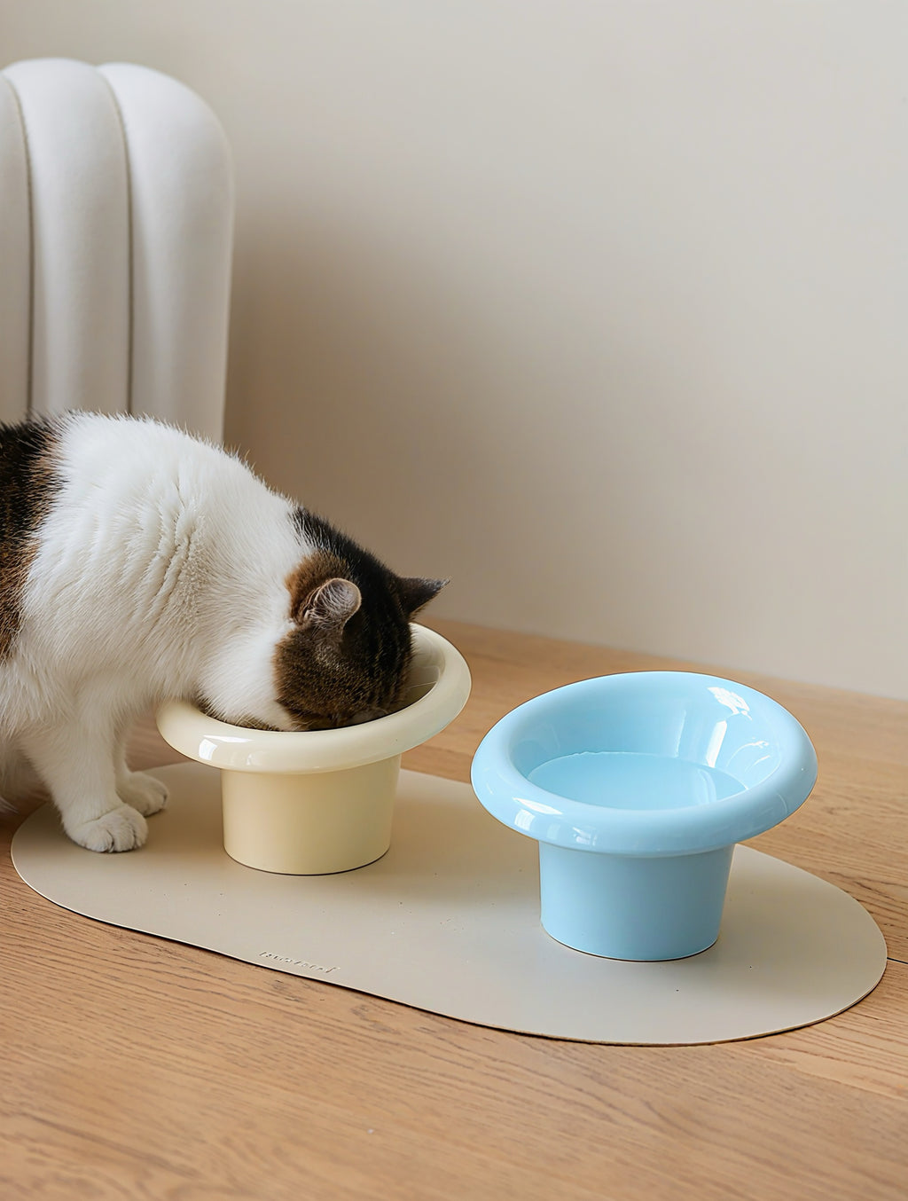 Fafa Elevated Ceramic Cat Bowl Set