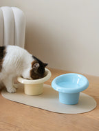 Fafa Elevated Ceramic Cat Bowl Set