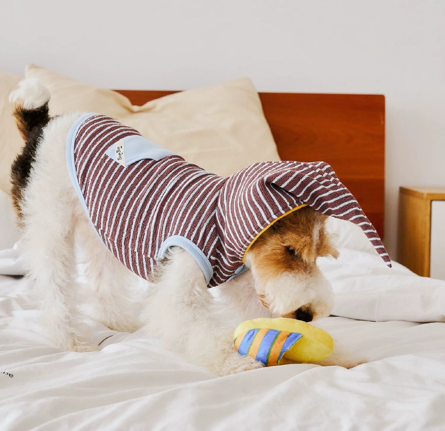 Cozy Elf Hood Dog Sweater