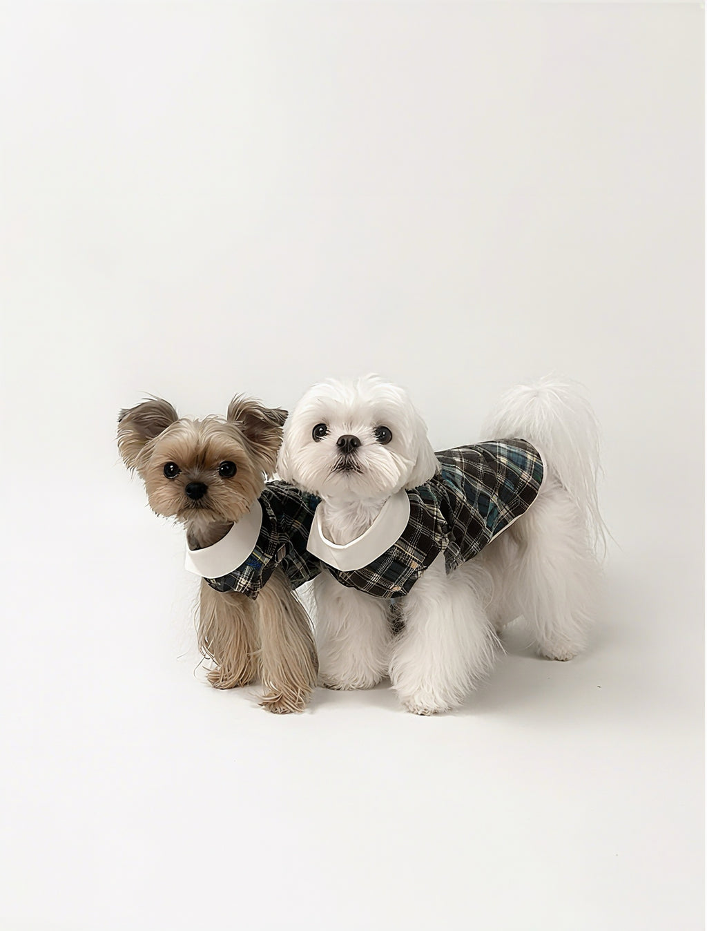 Kyawkyaw Plaid Dog Shirt with Fold-Over Collar