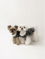 Kyawkyaw Plaid Dog Shirt with Fold-Over Collar