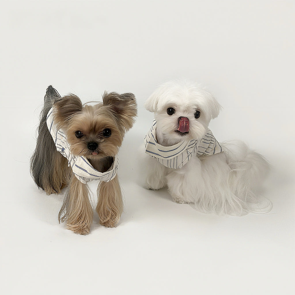 Kyawkyaw Blue Striped Dog Shirt Cotton