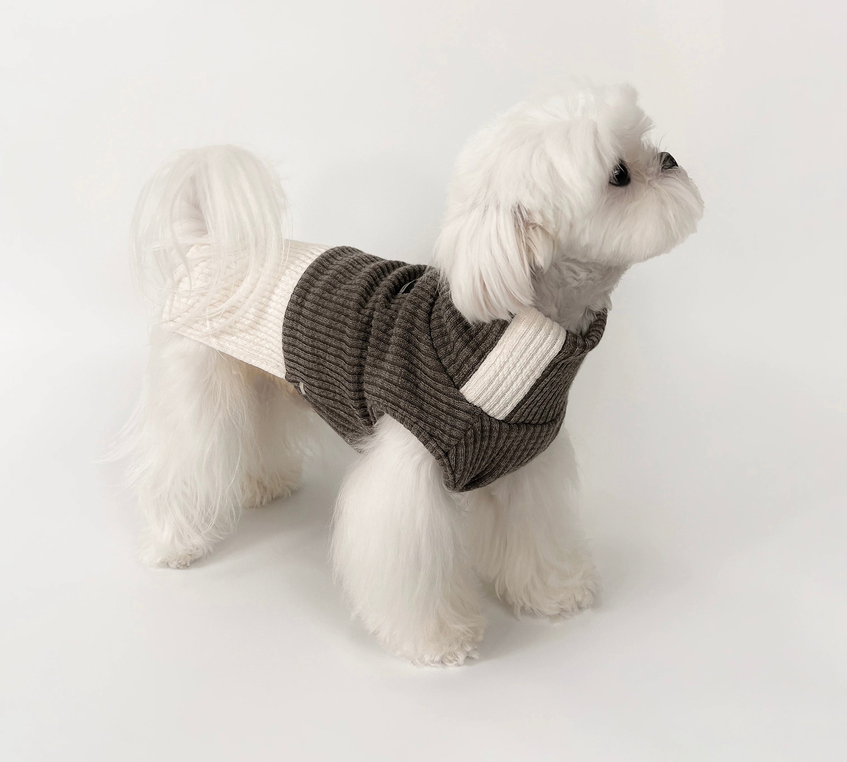 Kyawkyaw Brown & Cream Colorblock Knit Dog Sweater