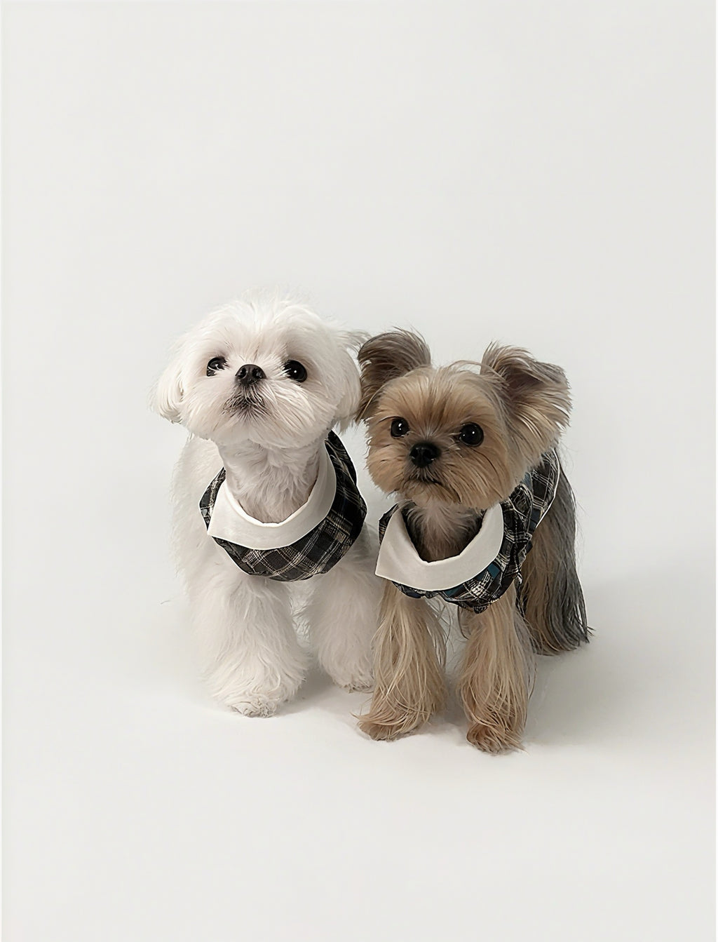 Kyawkyaw Plaid Dog Shirt with Fold-Over Collar