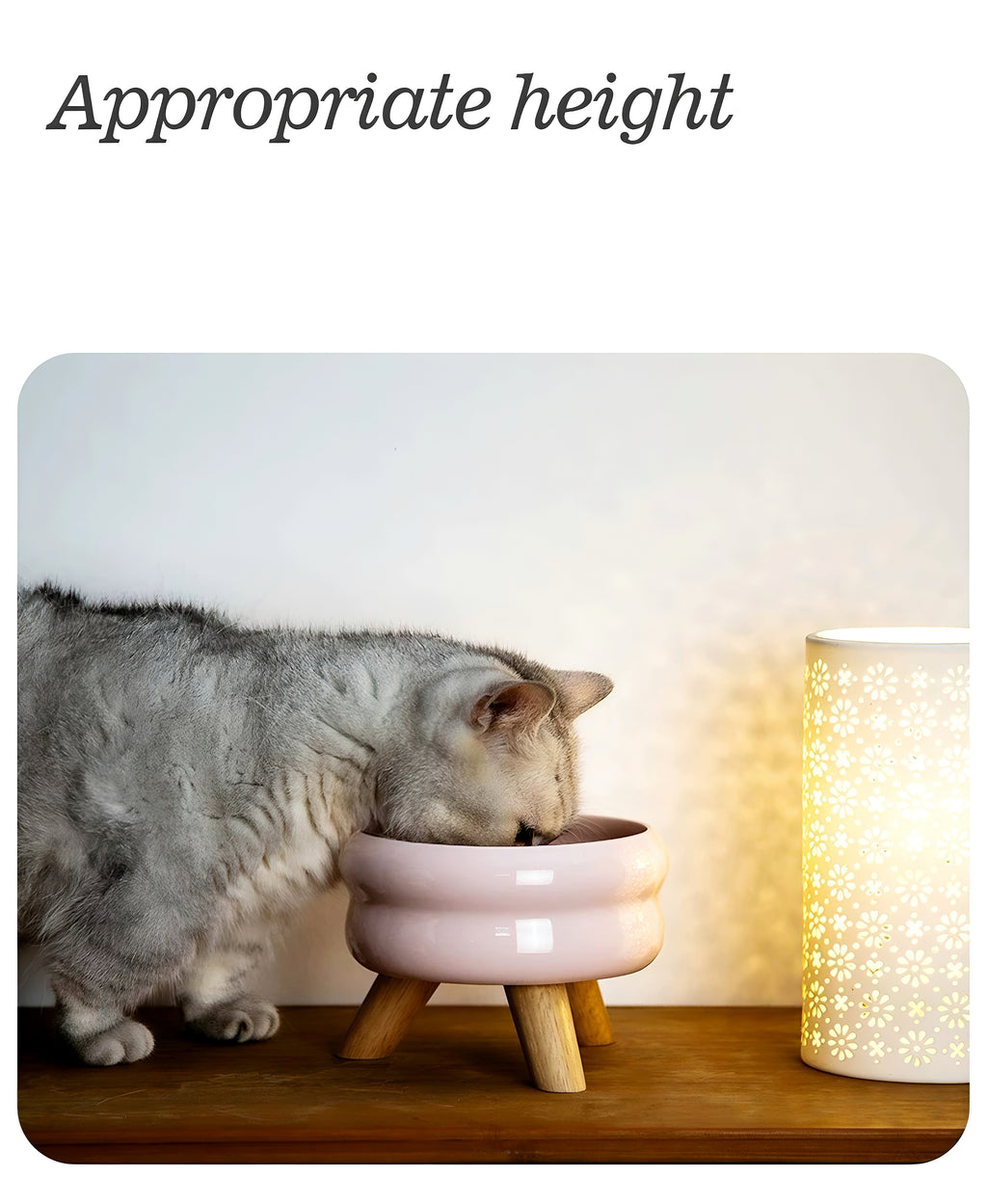 Petdebby Ceramic Elevated Pet Wood Table