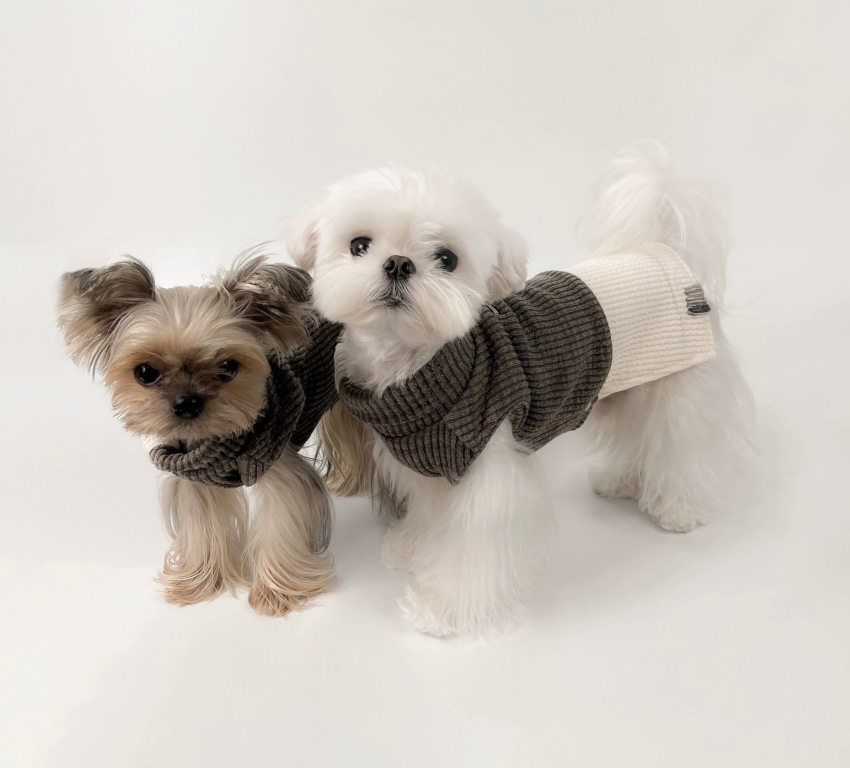 Kyawkyaw Brown & Cream Colorblock Knit Dog Sweater