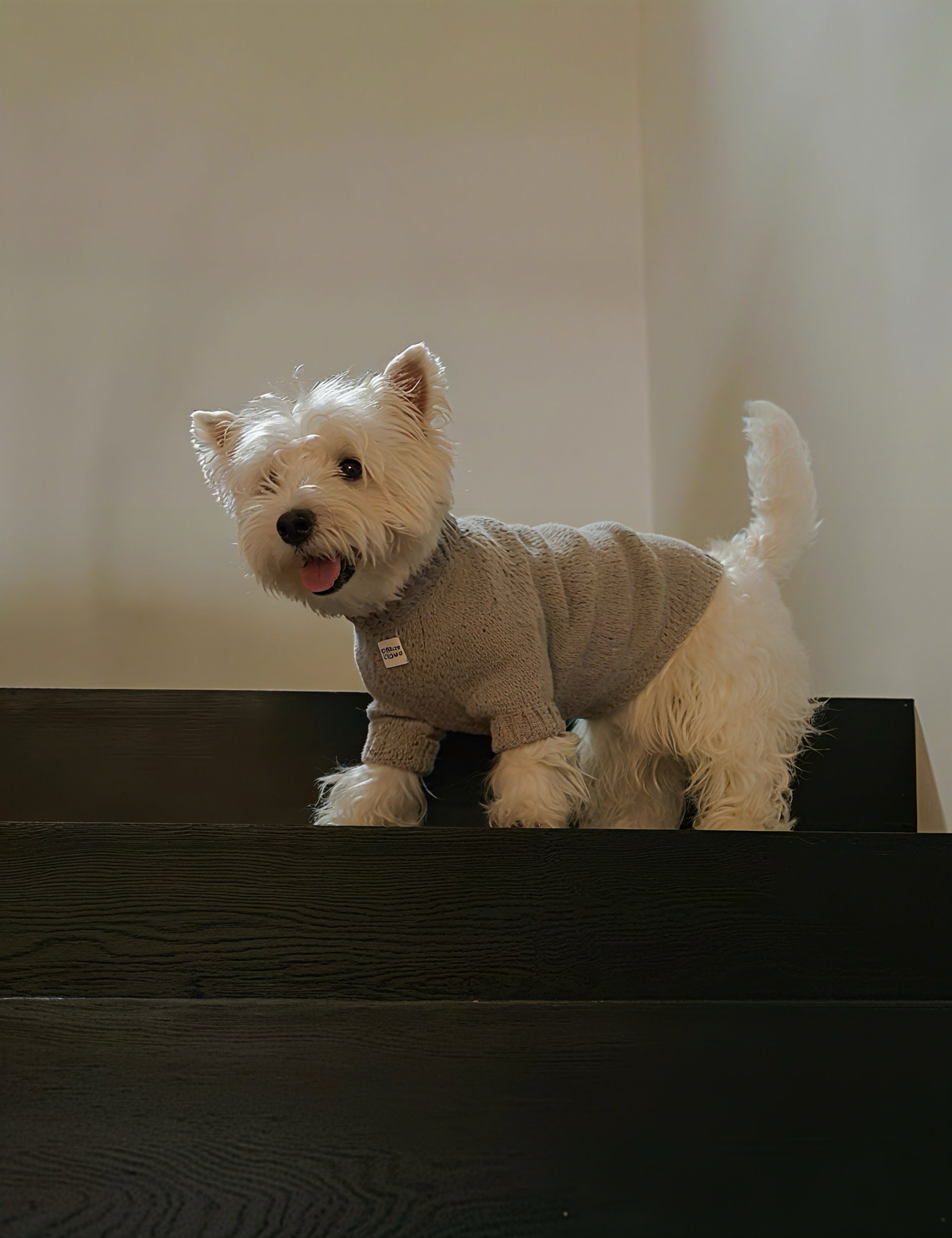 Warm Knitted Winter Pet Jumper
