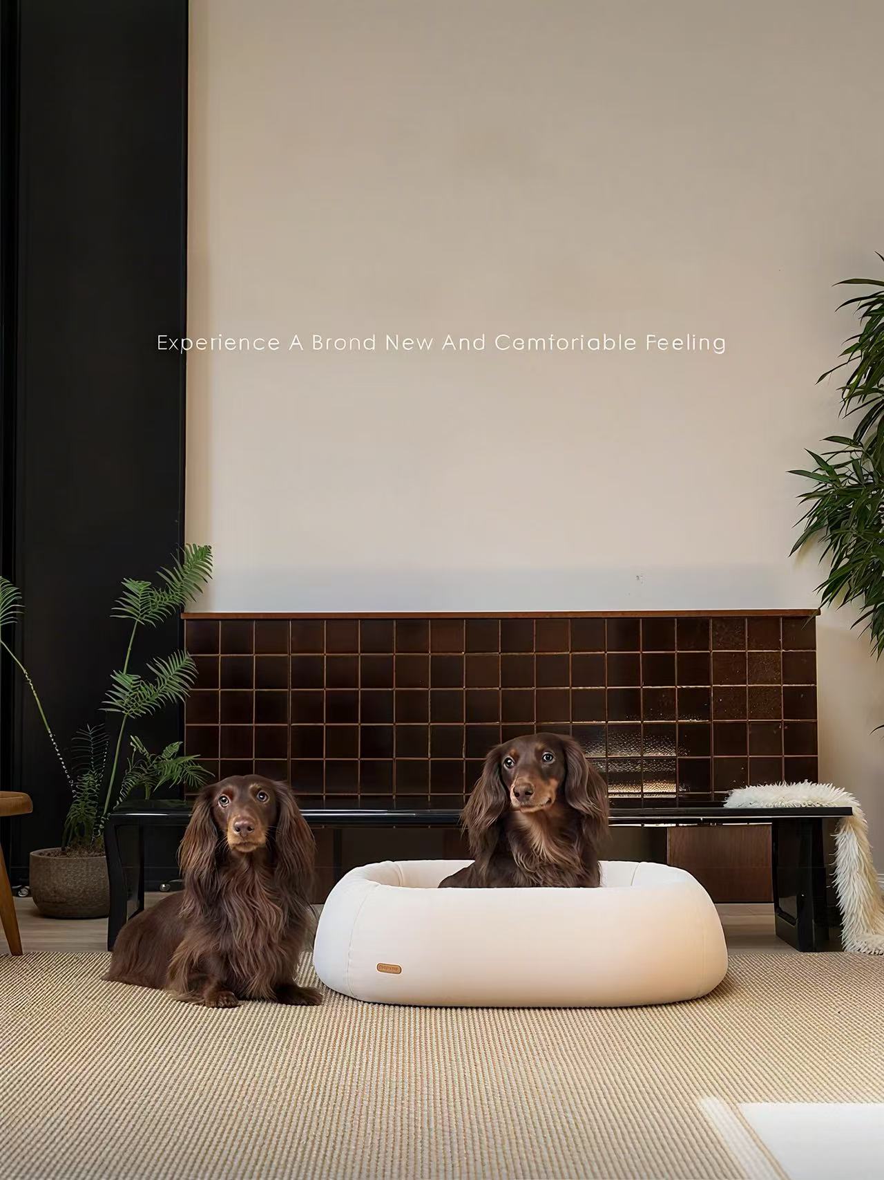 Cloud Series Modern Pet Bed – Premium Comfort