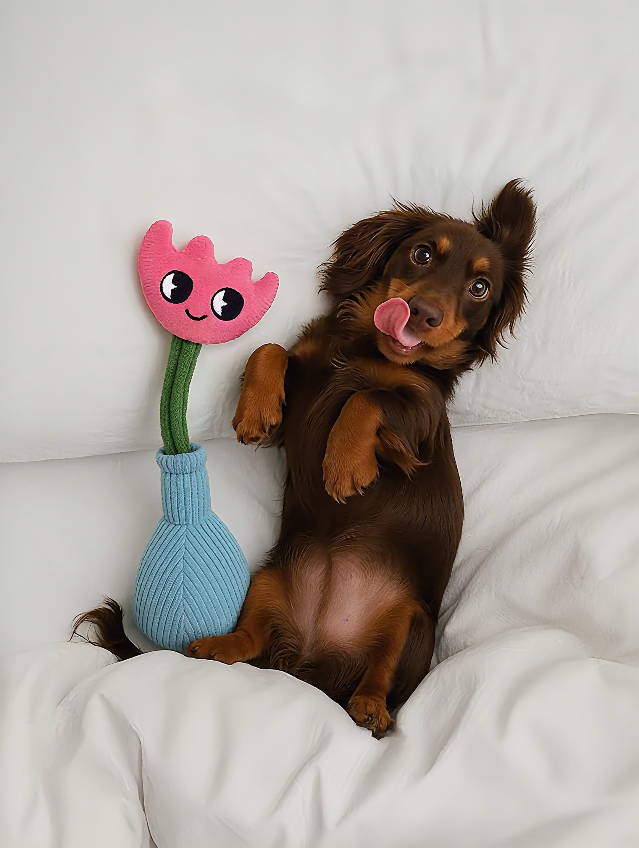Modern Plush Vase Dog Toy