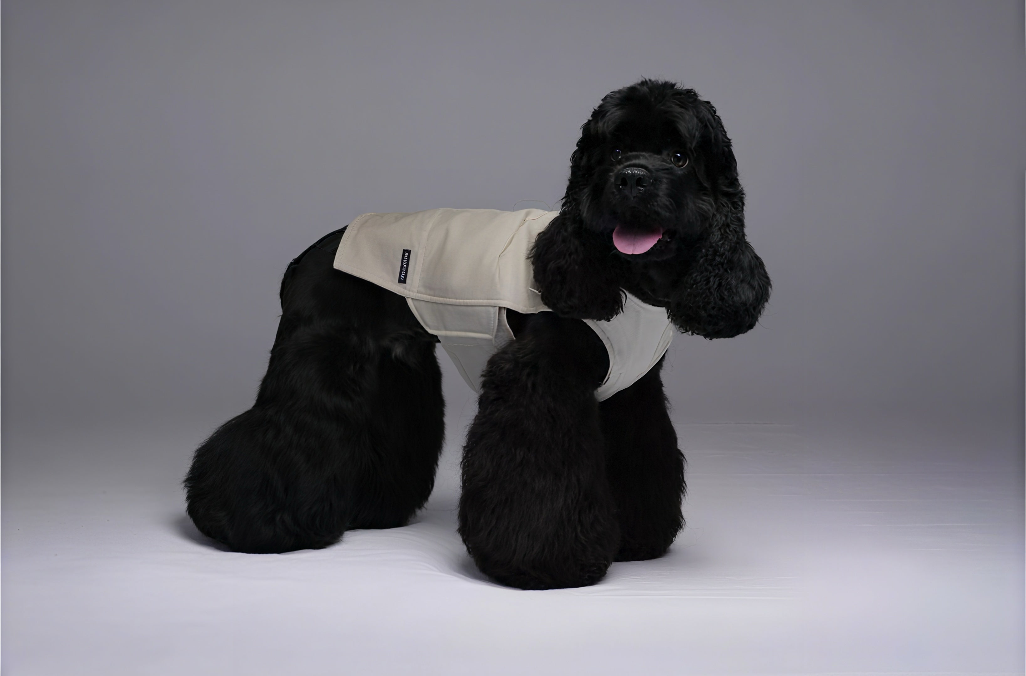 Plug In Pet “Power Armor” Functional Pet Harness Jacket – Winter & Autumn Wear