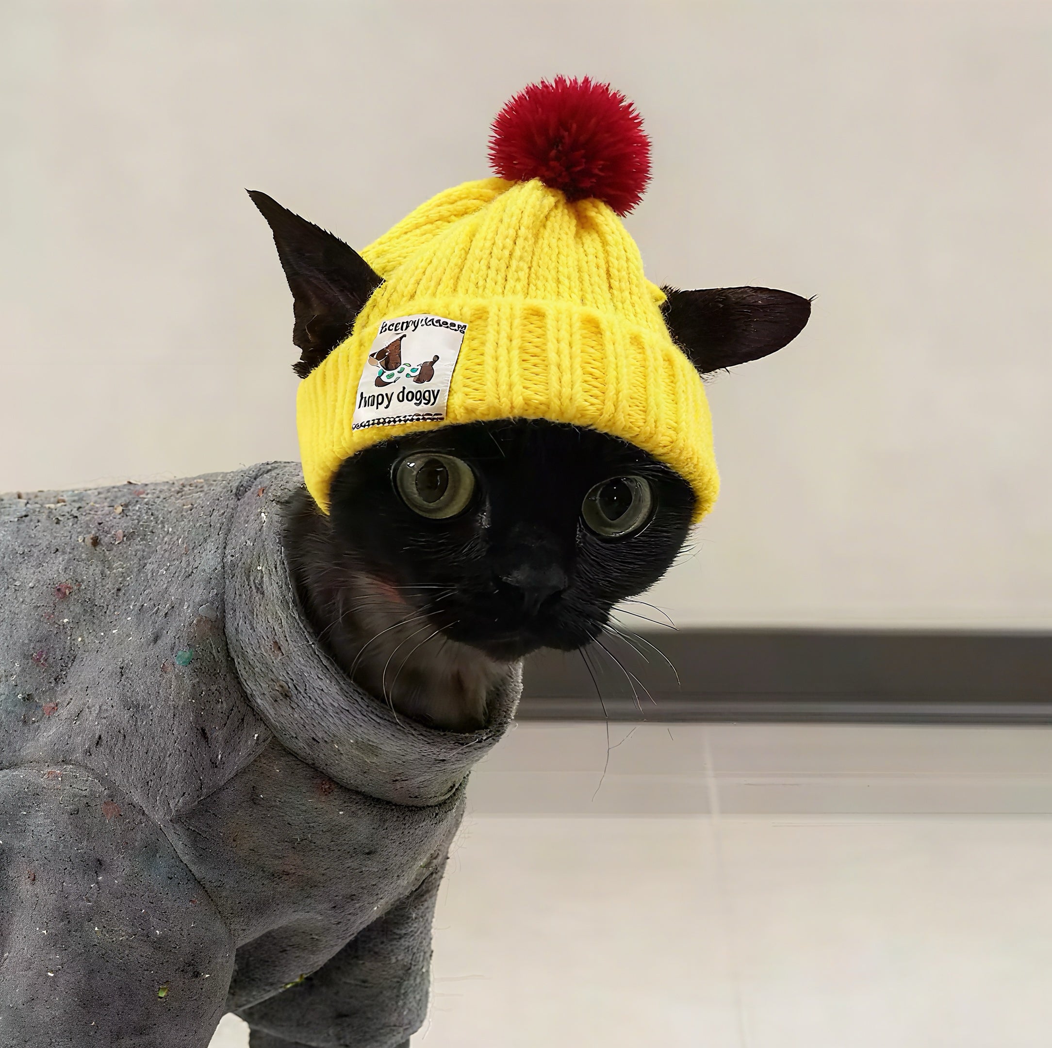 Knitted Pet Winter Hat & Scarf Set