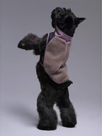 Plug In Pet Detachable Warm-Layer Color-Block Pet Jacket