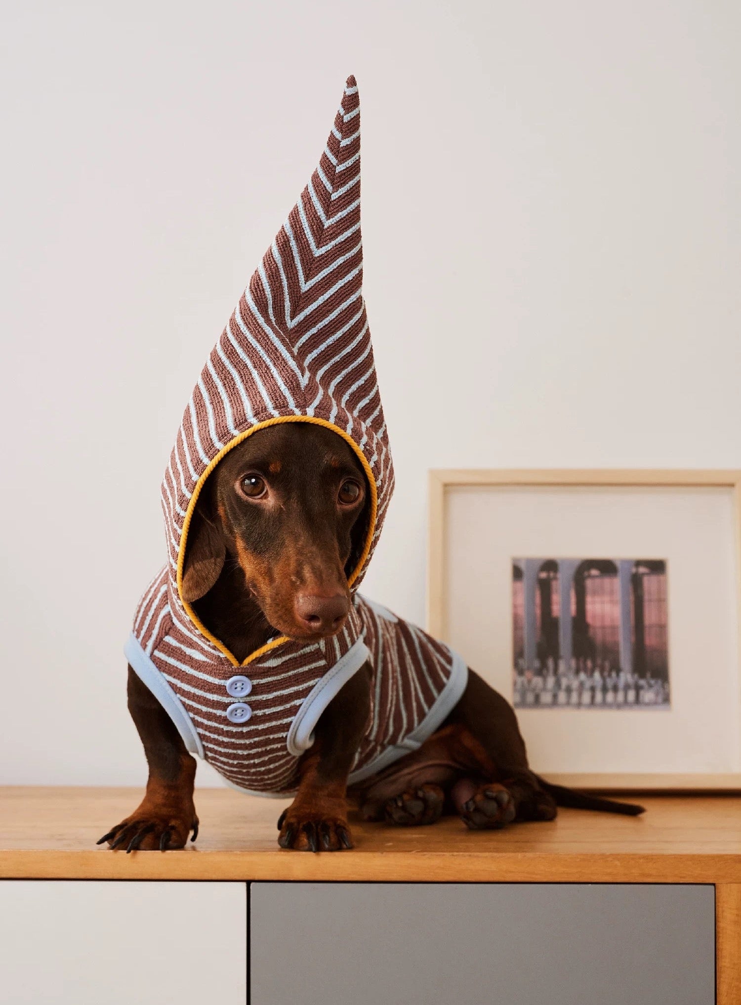 Cozy Elf Hood Dog Sweater