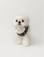 Kyawkyaw Plaid Dog Shirt with Fold-Over Collar