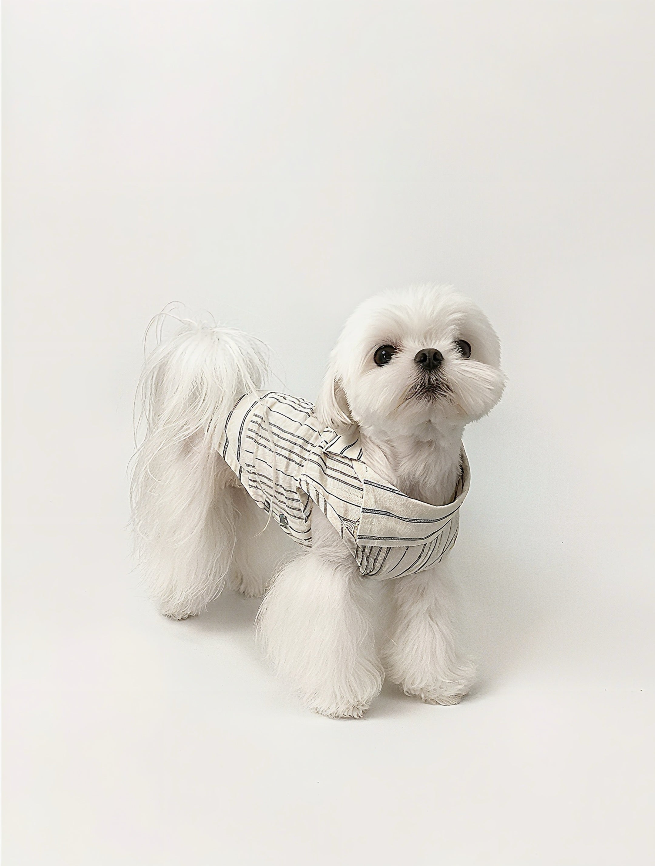 Kyawkyaw Blue Striped Dog Shirt Cotton