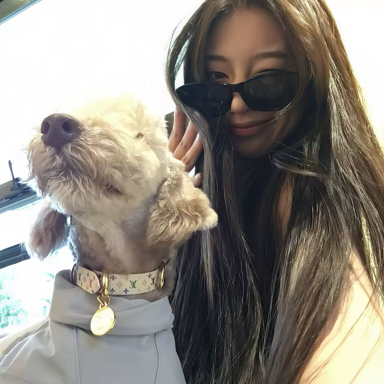 LV x TM Monogram Multicolor Dog Collar MM