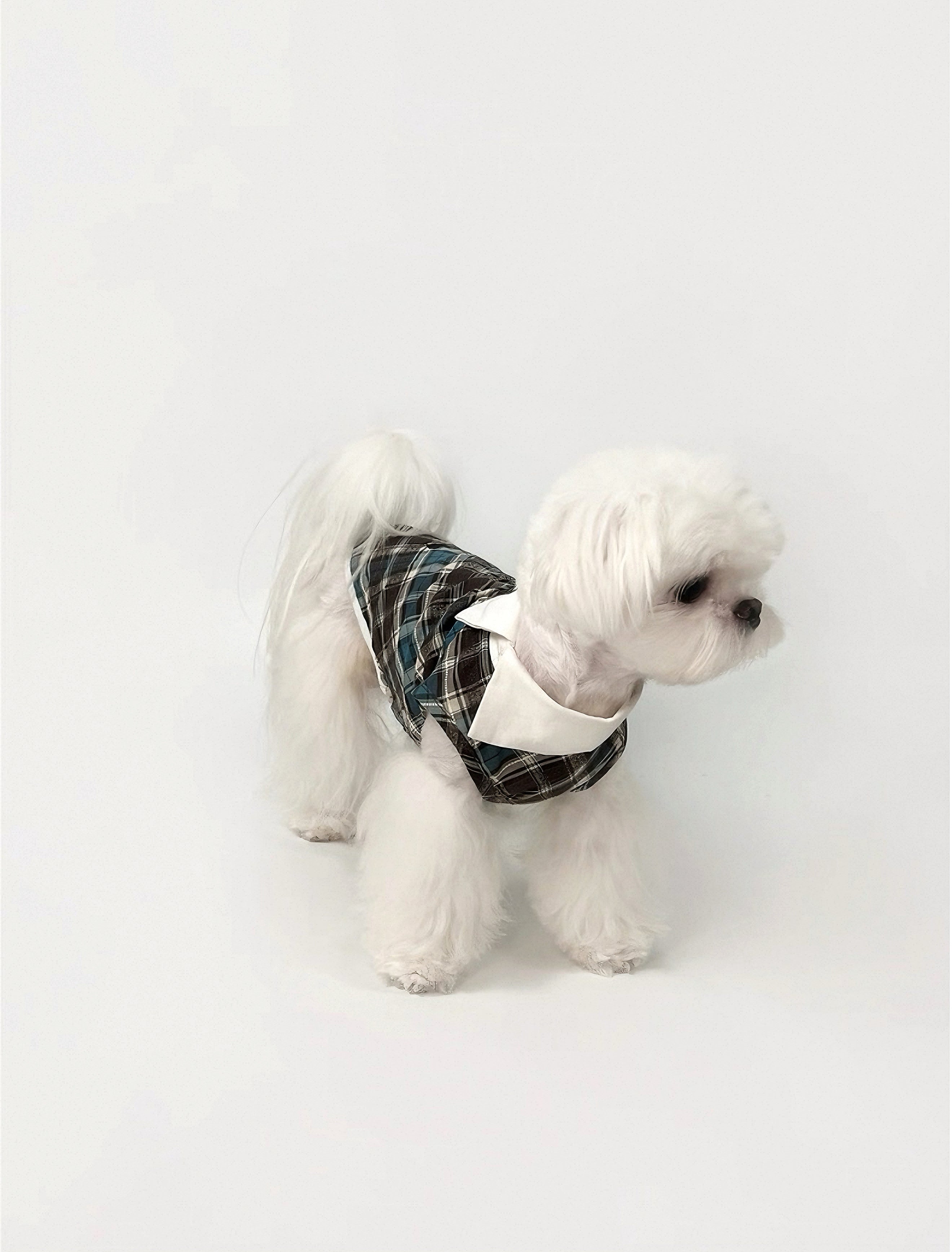 Kyawkyaw Plaid Dog Shirt with Fold-Over Collar