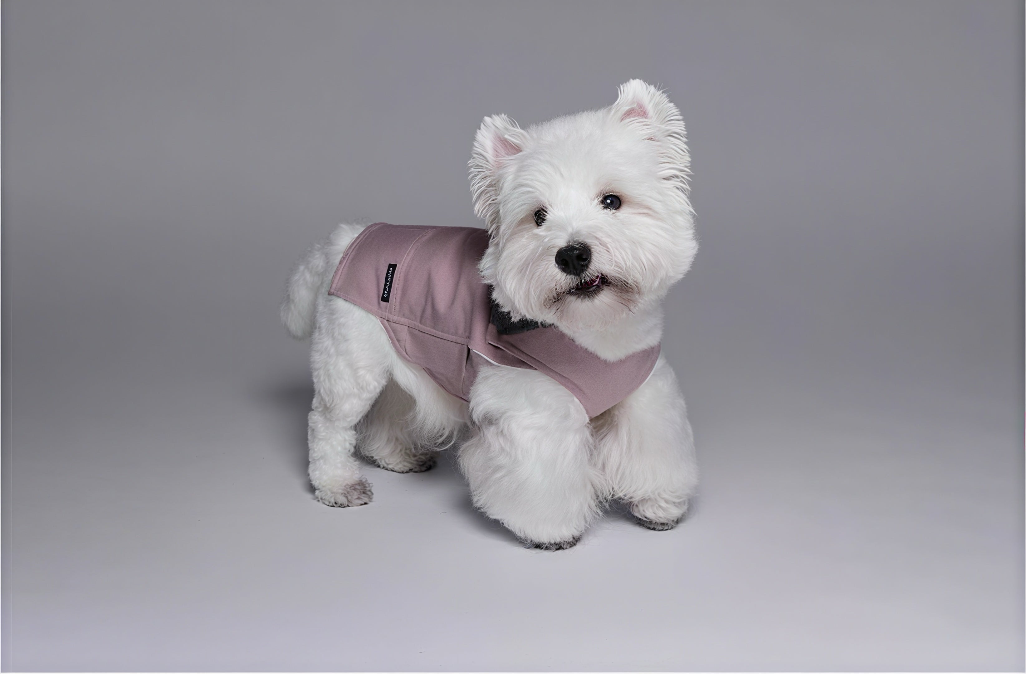 Plug In Pet “Power Armor” Functional Pet Harness Jacket – Winter & Autumn Wear