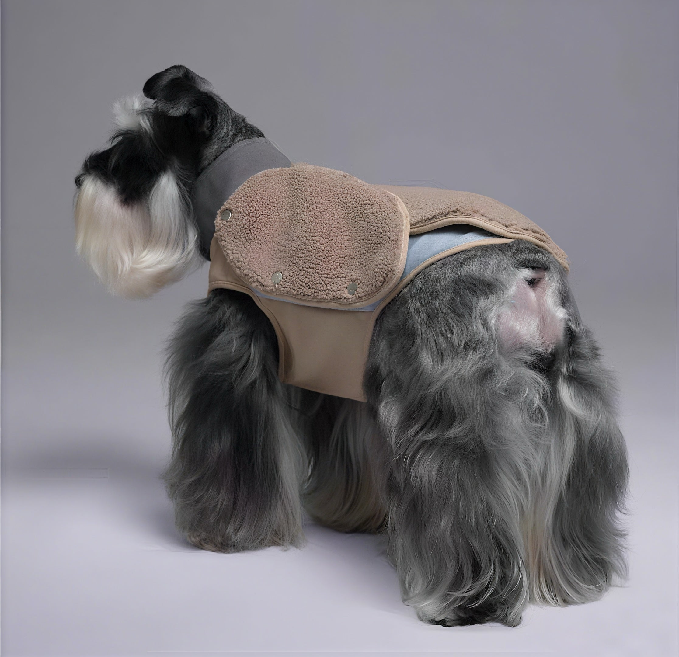 Plug In Pet Detachable Warm-Layer Color-Block Pet Jacket