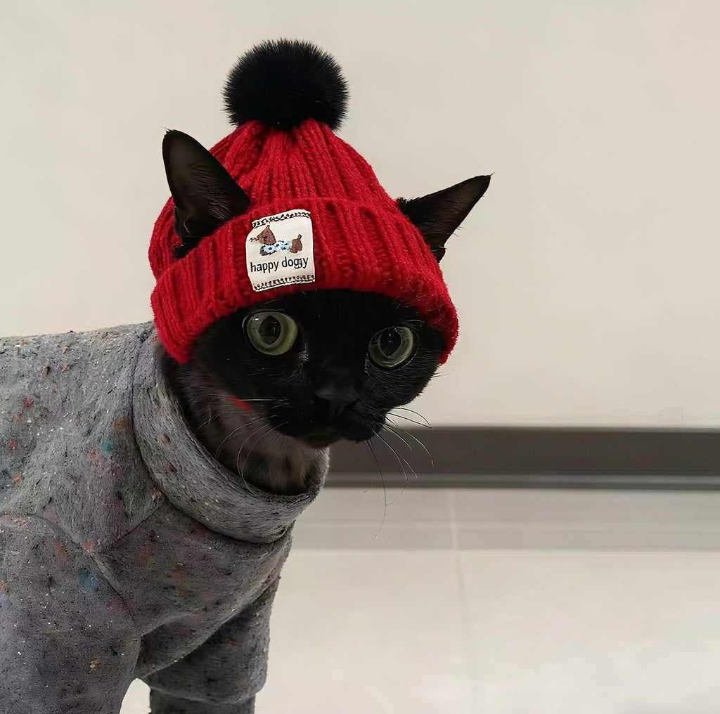 Knitted Pet Winter Hat & Scarf Set