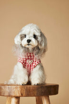 TawneyBear Gingham Vest