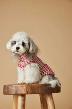 TawneyBear Gingham Vest