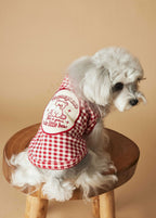 TawneyBear Gingham Vest