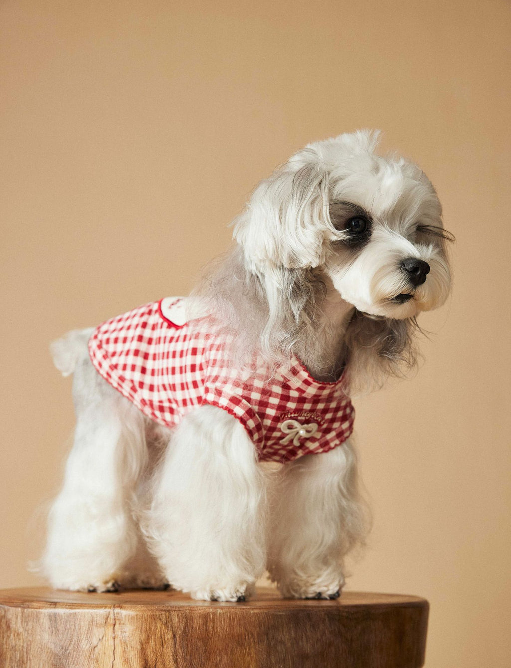TawneyBear Gingham Vest