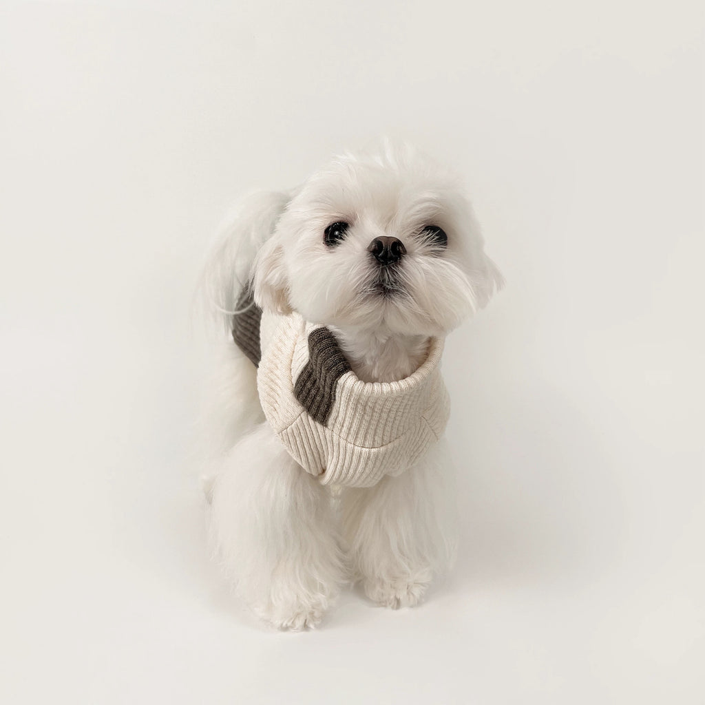 KyawKyaw Cream & Brown Color-Block Knit Dog Sweater