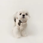 KyawKyaw Cream & Brown Color-Block Knit Dog Sweater