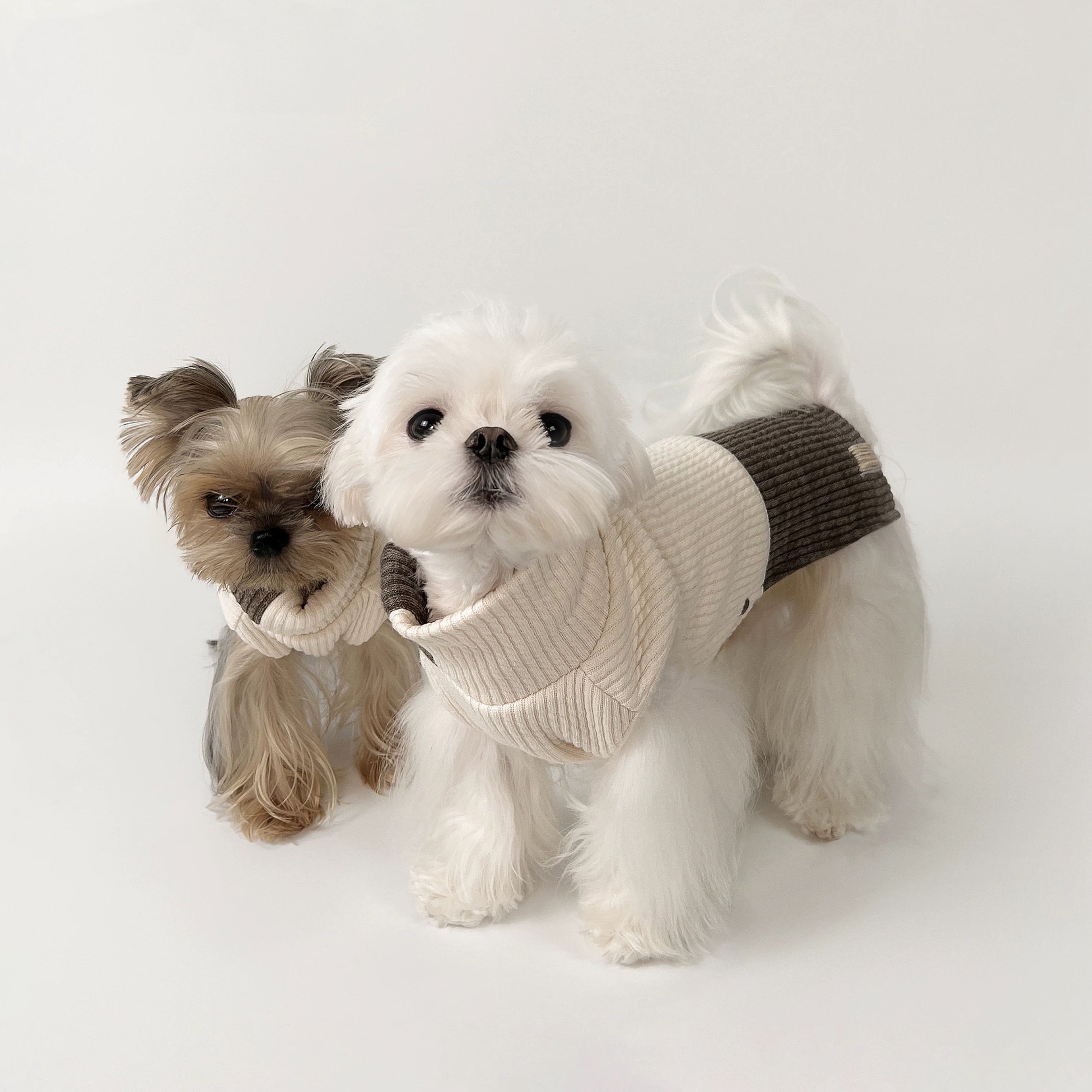 KyawKyaw Cream & Brown Color-Block Knit Dog Sweater