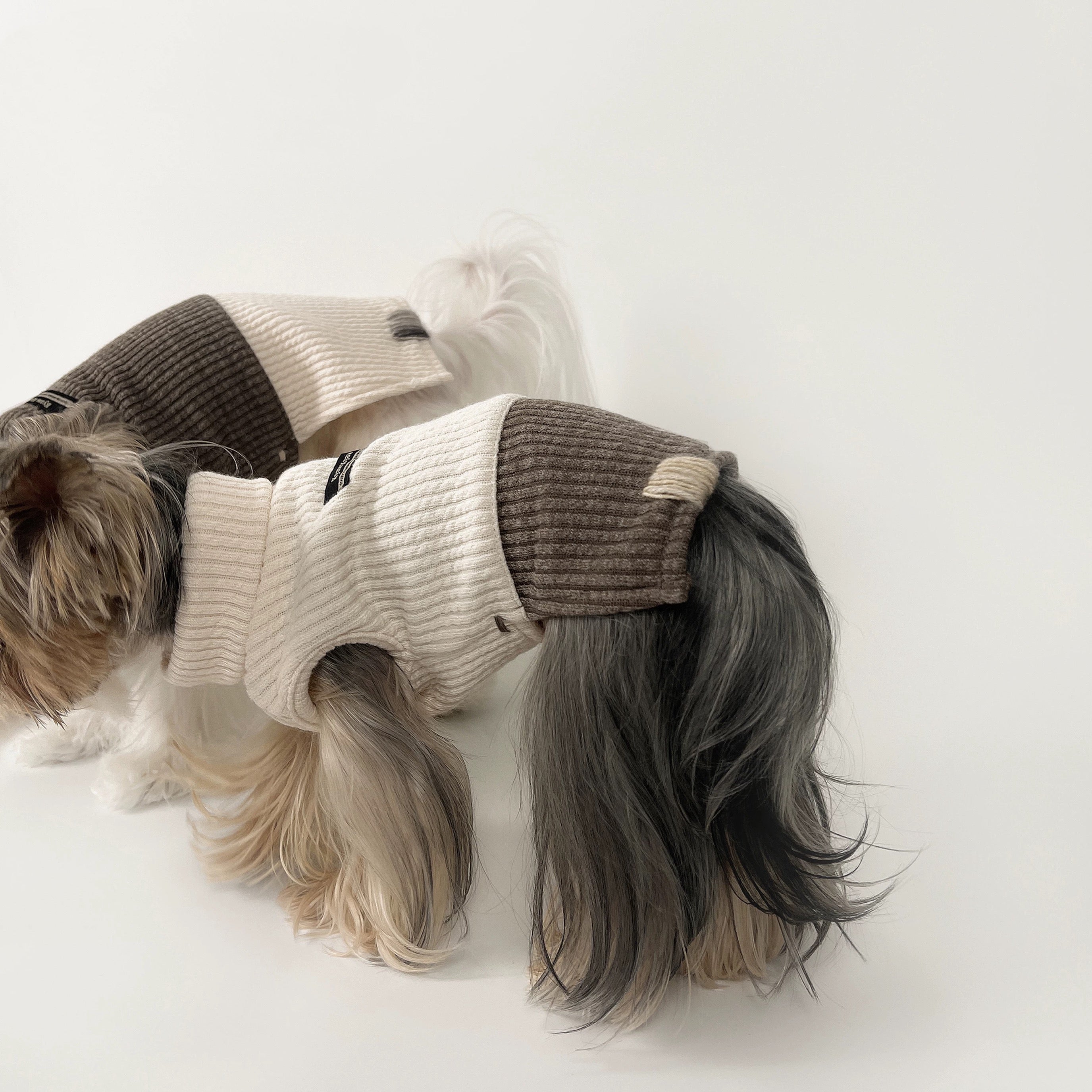 KyawKyaw Cream & Brown Color-Block Knit Dog Sweater