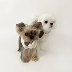 KyawKyaw Cream & Brown Color-Block Knit Dog Sweater