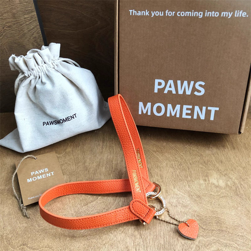 PAWSMOMENT Lili Leather Dog Harness