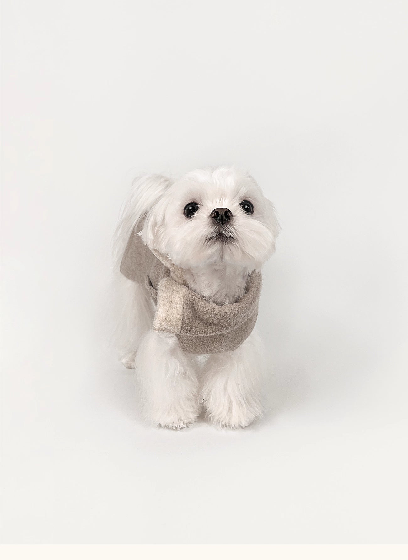 KyawKyaw Oatmeal Wool-Blend Pet Coat
