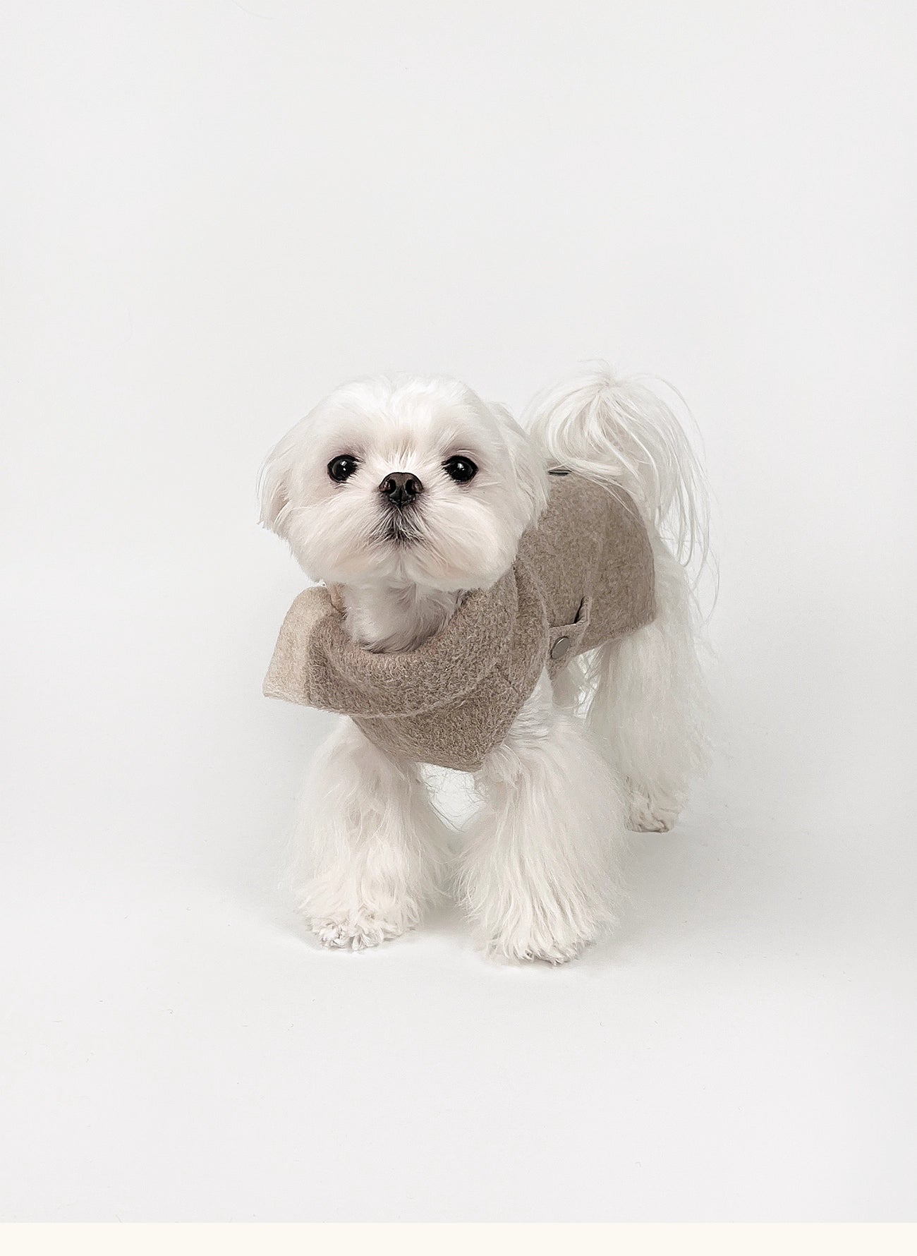 KyawKyaw Oatmeal Wool-Blend Pet Coat