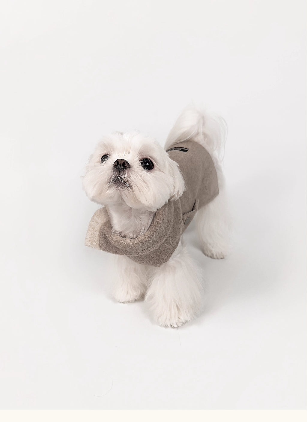 KyawKyaw Oatmeal Wool-Blend Pet Coat
