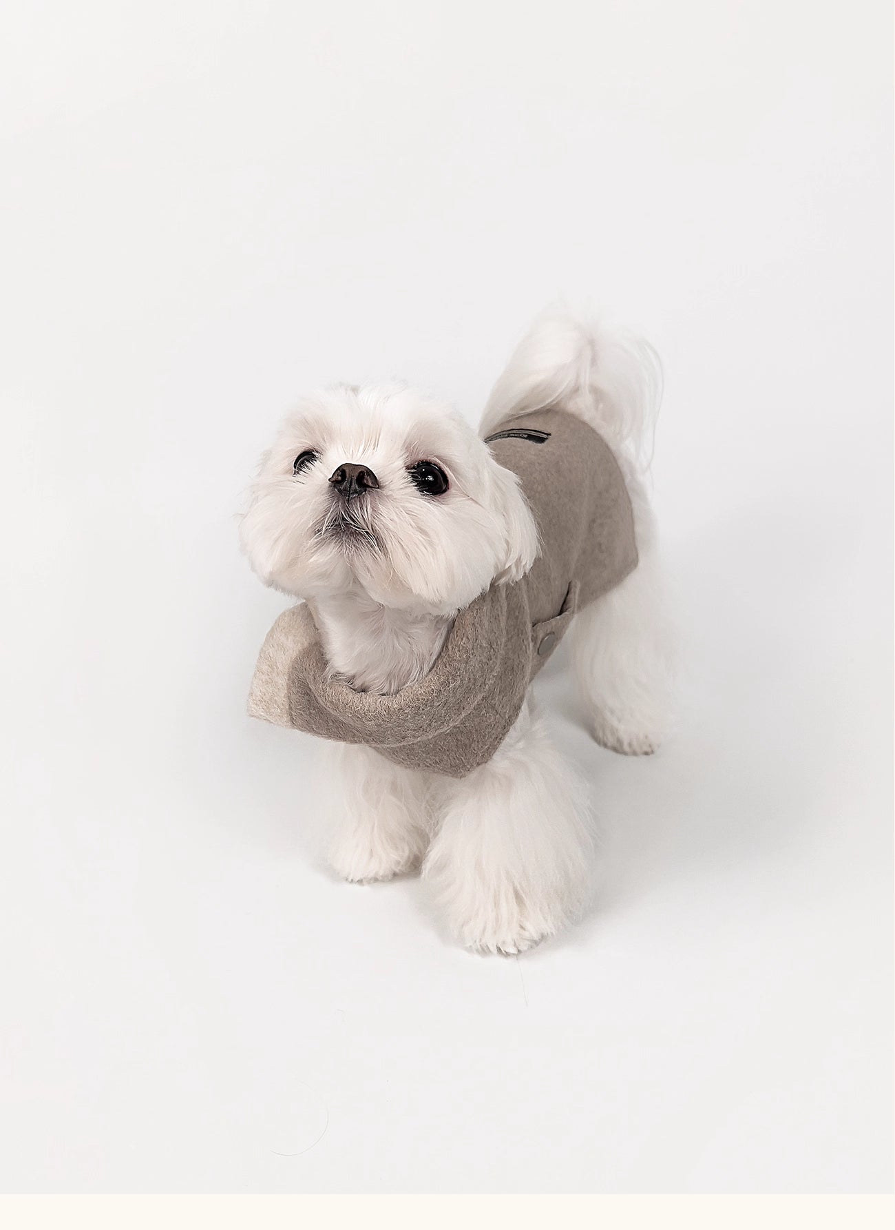 KyawKyaw Oatmeal Wool-Blend Pet Coat
