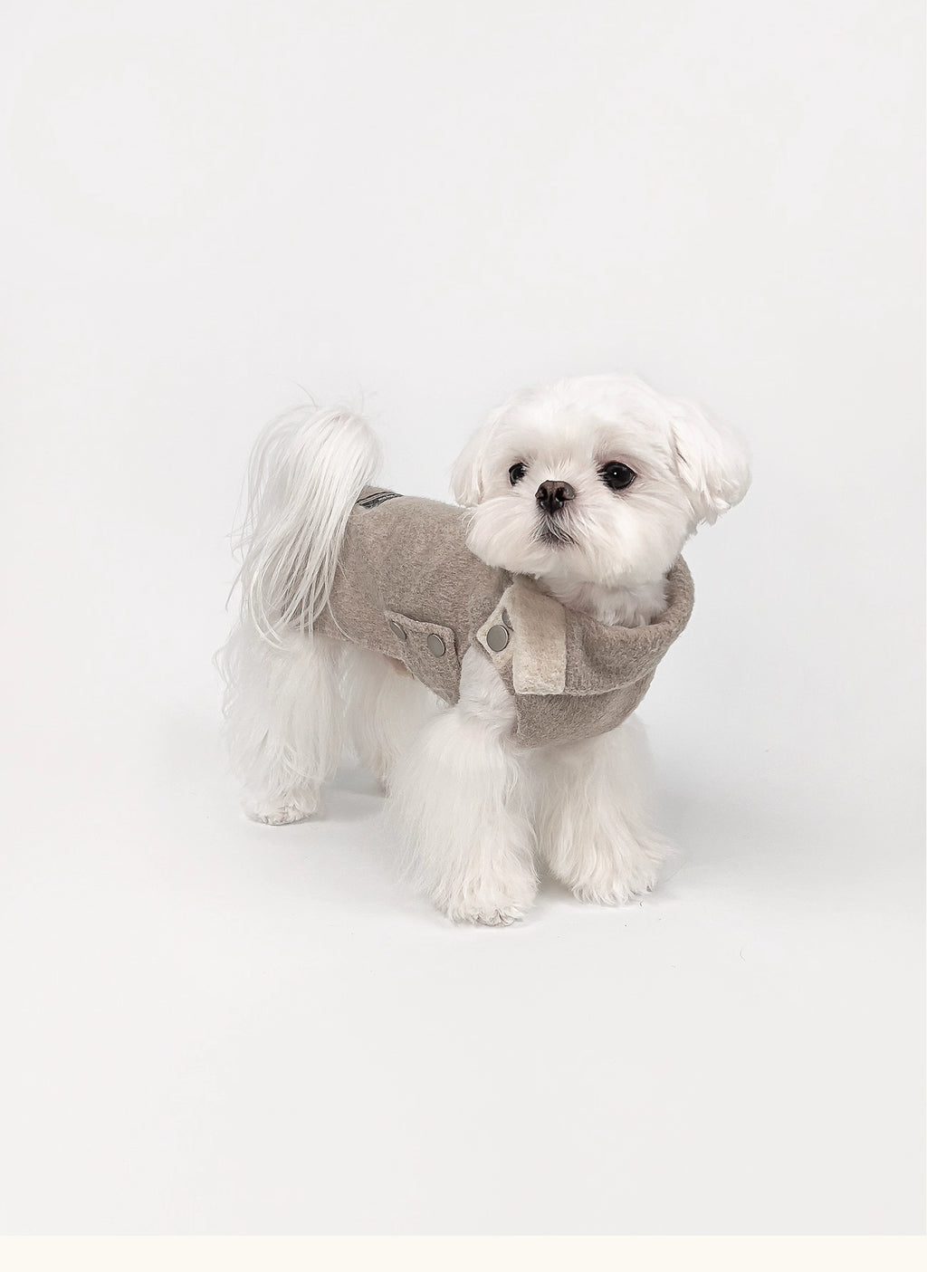 KyawKyaw Oatmeal Wool-Blend Pet Coat