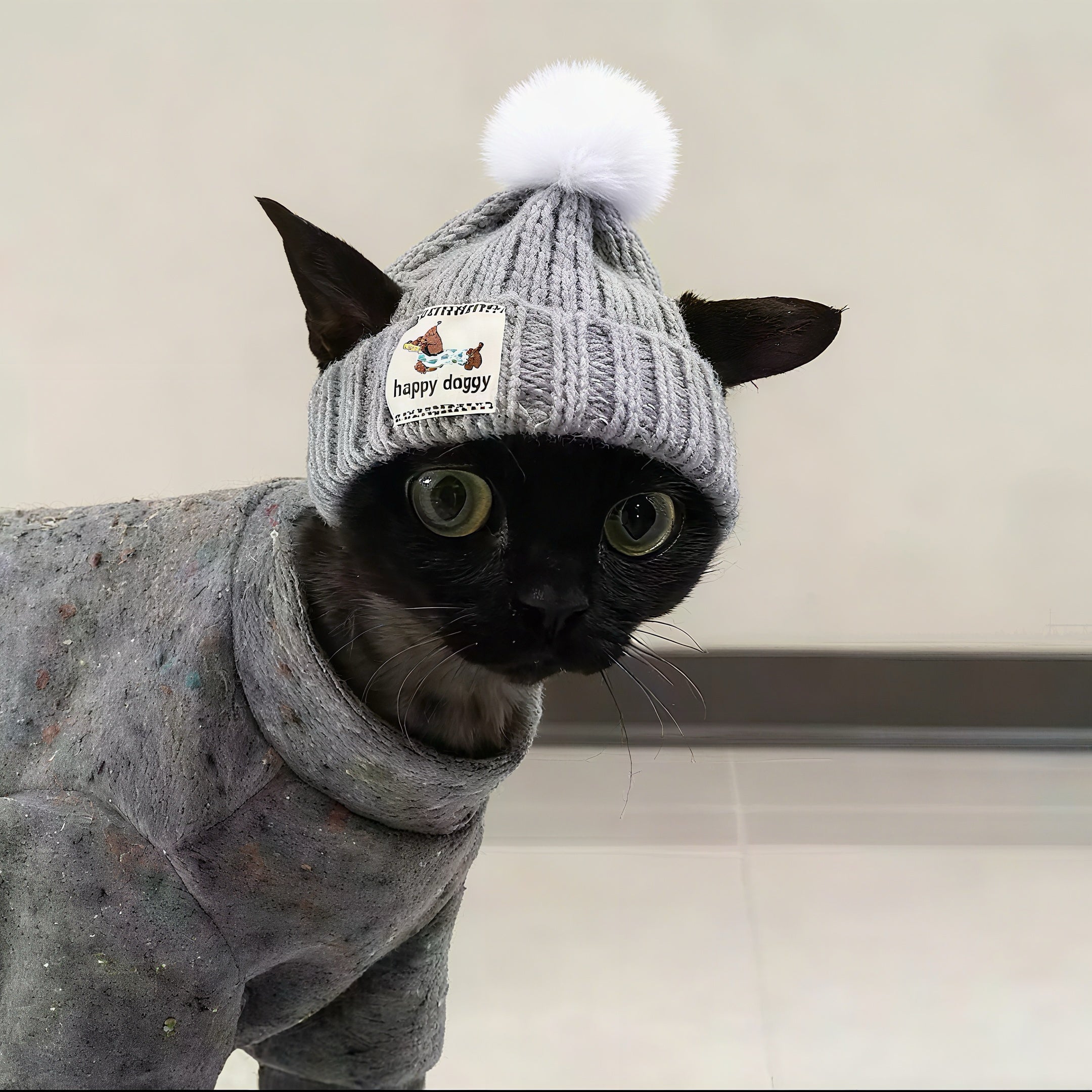 Knitted Pet Winter Hat & Scarf Set